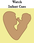 Watch Infant Cues