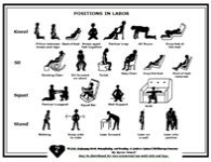 labor positions download