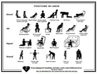 Labor Positions