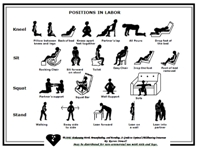 Labor Positions