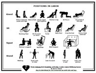 Labor Positions Brochure